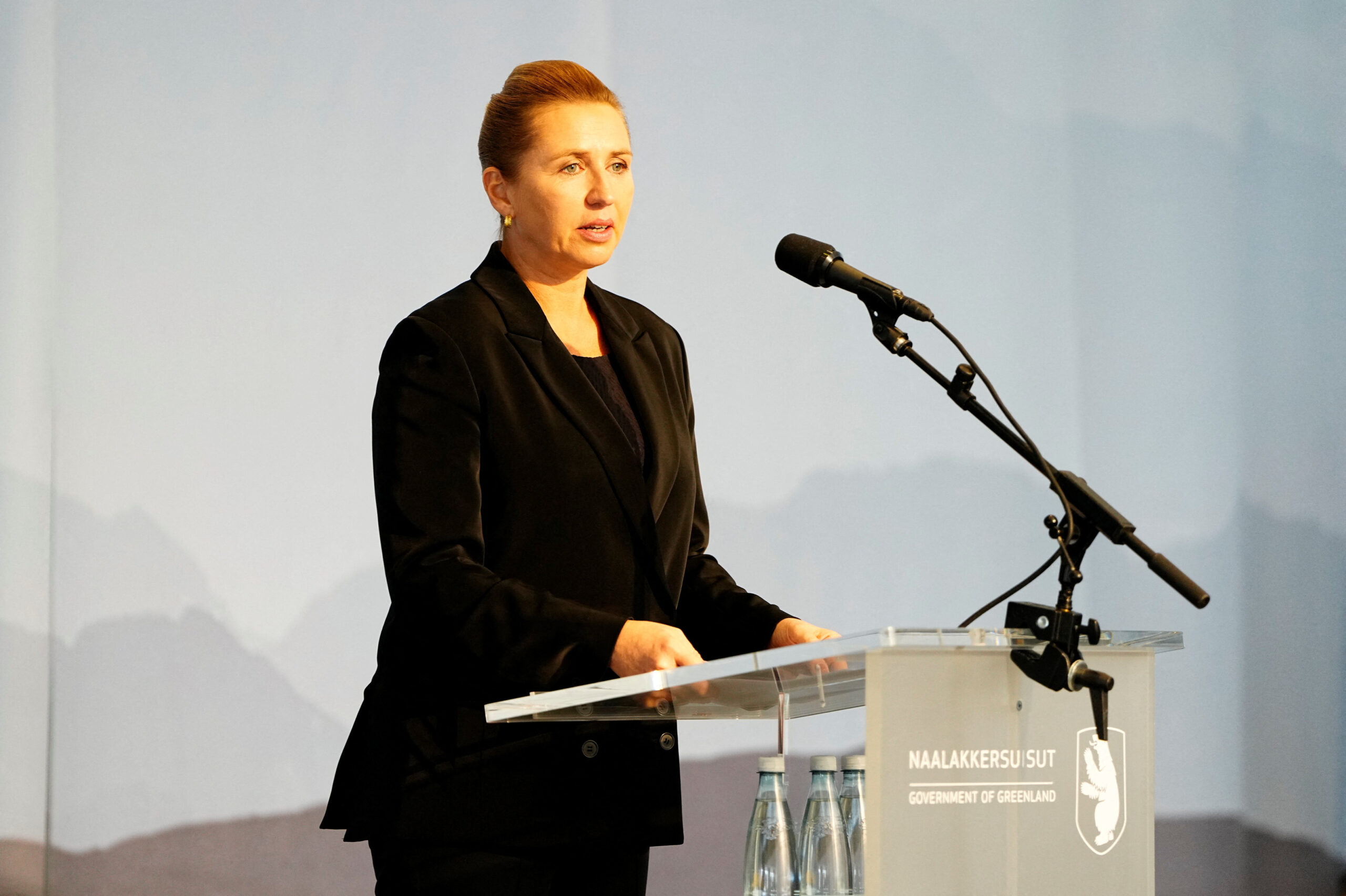 Denmark Prime Minister, Mete Fredericksen