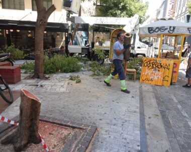 Πτώση δέντρου στην Αθήνα