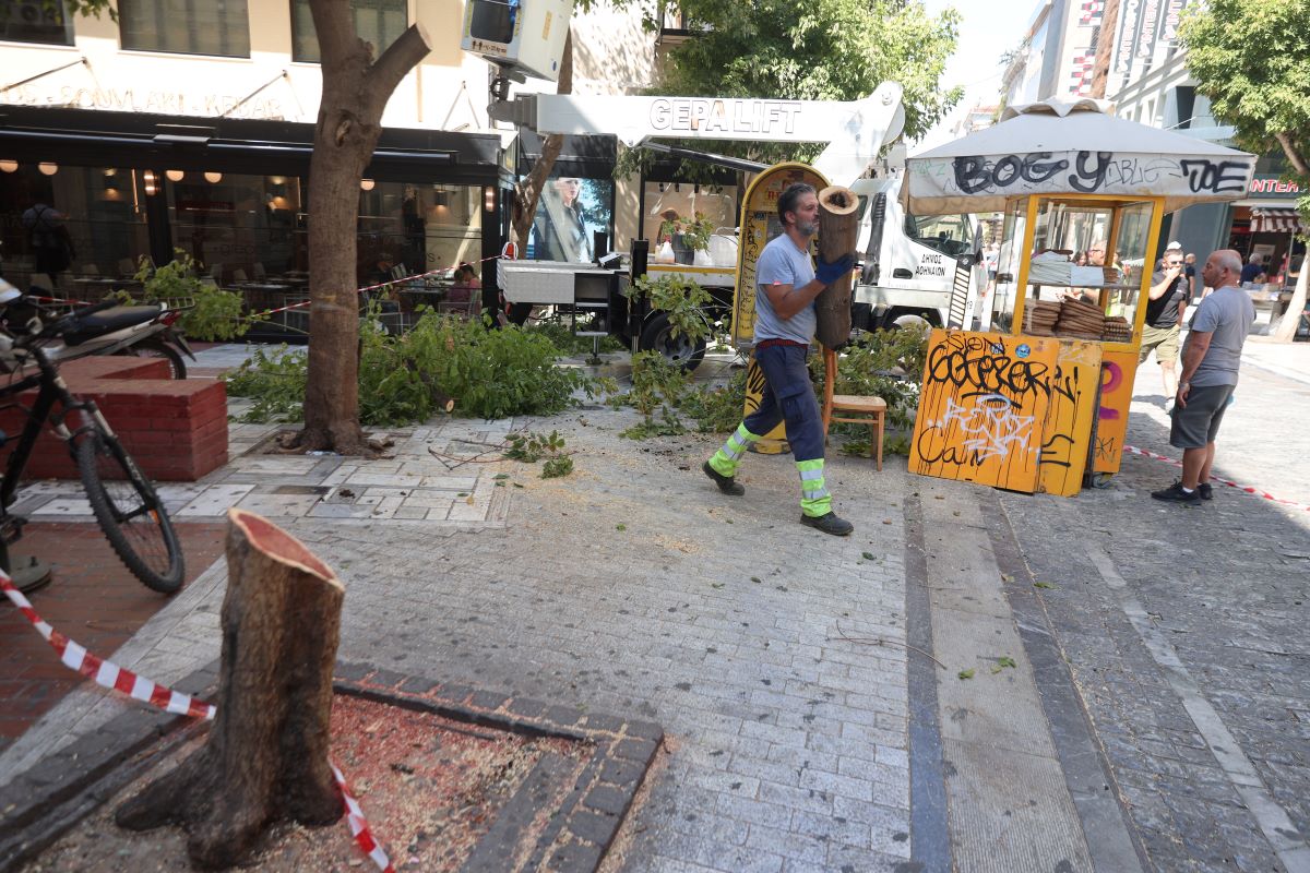 Πτώση δέντρου στην Αθήνα