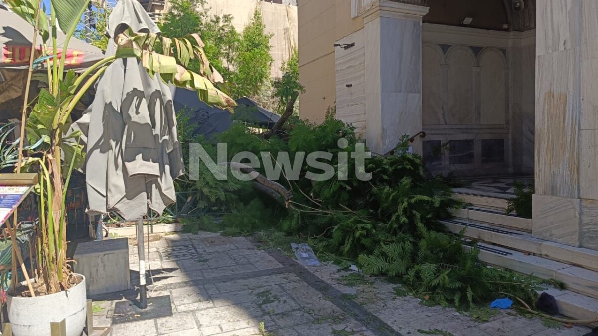 Δύο τραυματίες από πτώση δέντρου στο κέντρο της Αθήνας – Στο νοσοκομείο μια γυναίκα