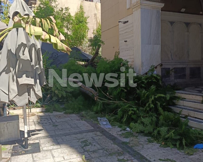 Δύο τραυματίες από πτώση δέντρου στο κέντρο της Αθήνας – Στο νοσοκομείο μια γυναίκα