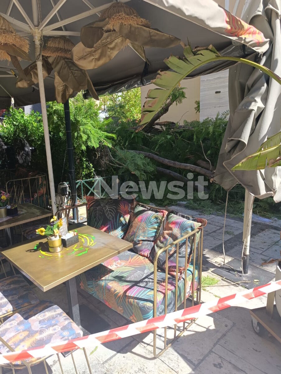 Το δέντρο που έπεσε στην πλατεία Αγίας Ειρήνης