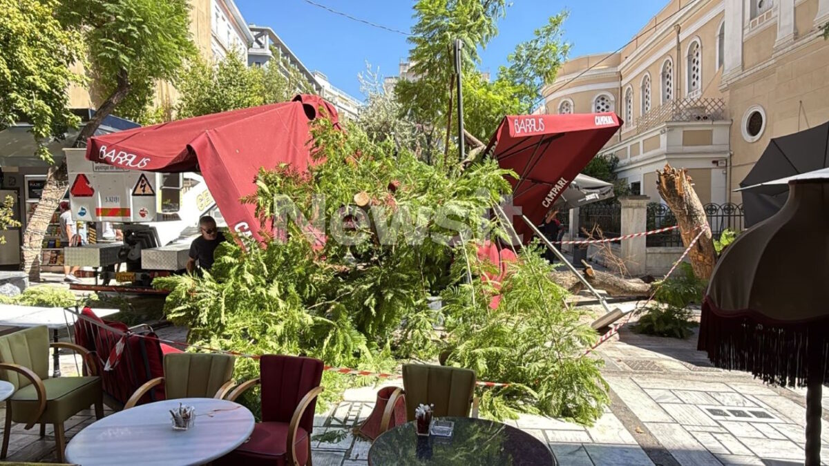 Πτώση δέντρου στην πλατεία Αγίας Ειρήνης