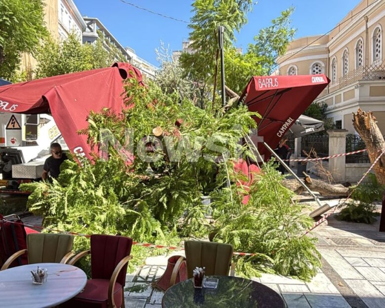 Πτώση δέντρου στην Αθήνα: «Νομίζαμε πως πέθανε η γυναίκα, έβγαζε αίμα από το στόμα»