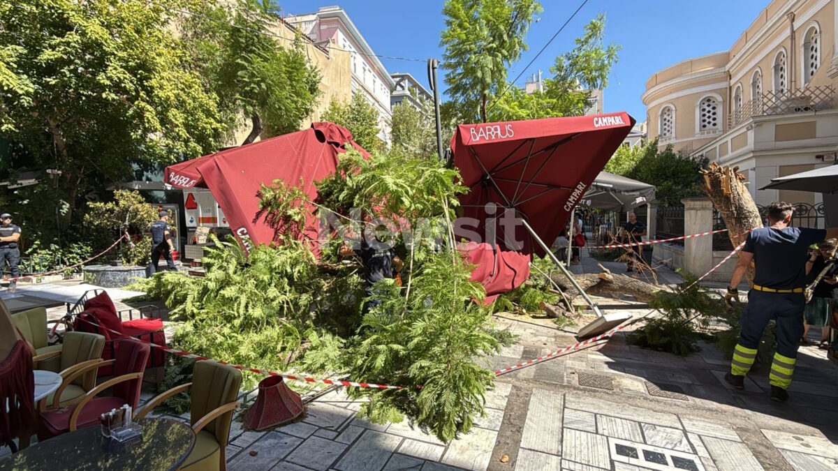 Πτώση δέντρου στην πλατεία Αγίας Ειρήνης στην Αθήνα