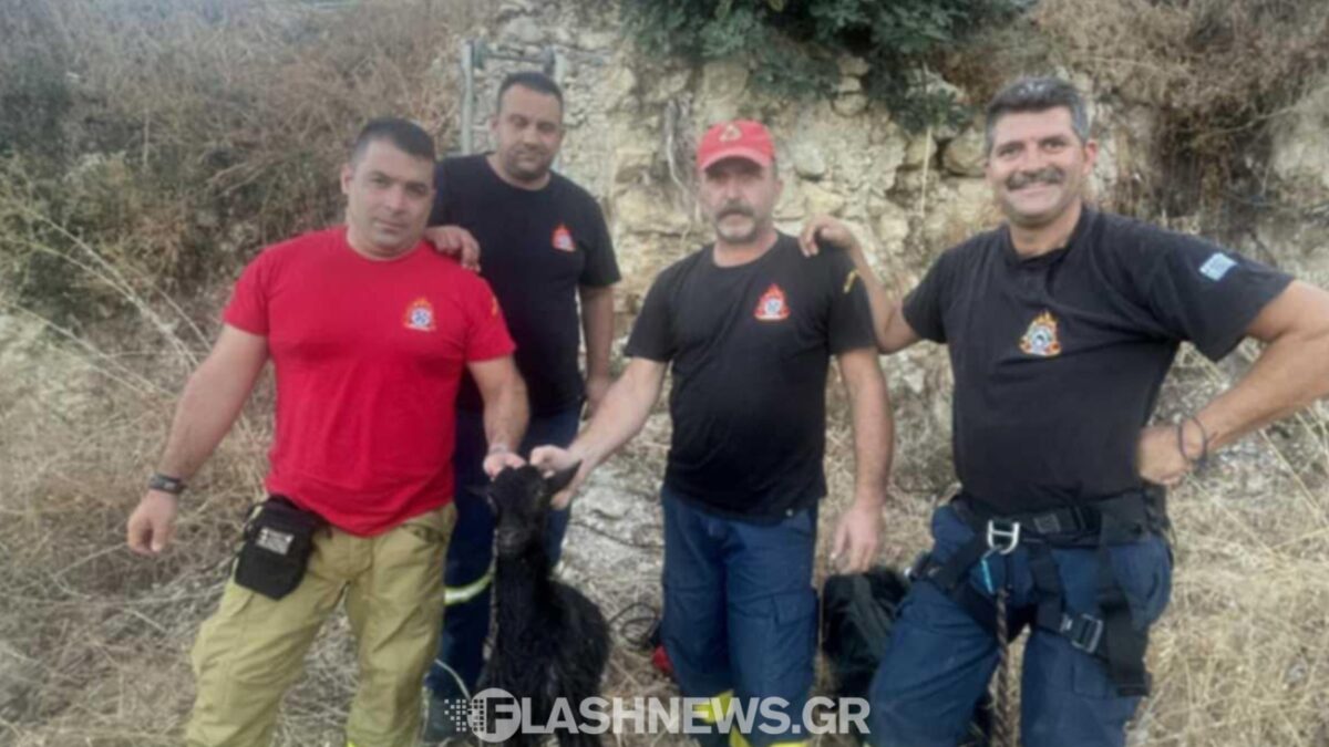 Οι πυροσβέστες που έσωσαν το κατσικάκι