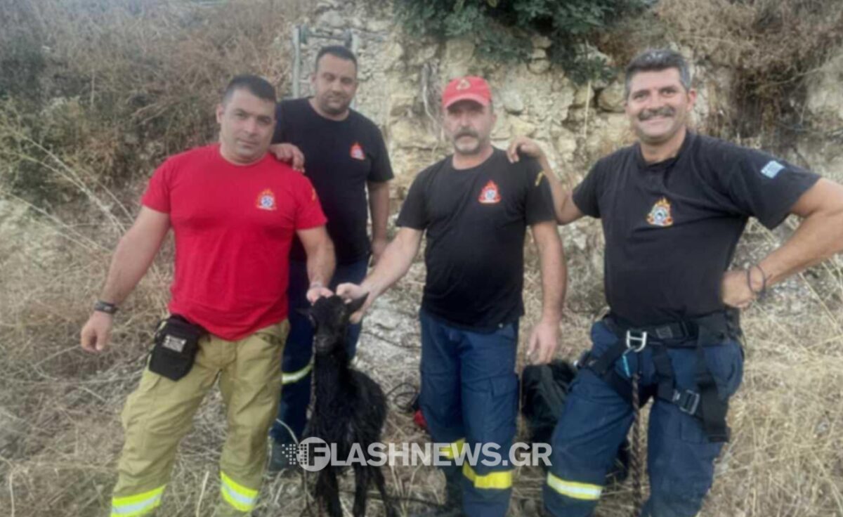 Οι πυροσβέστες που έσωσαν το κατσικάκι
