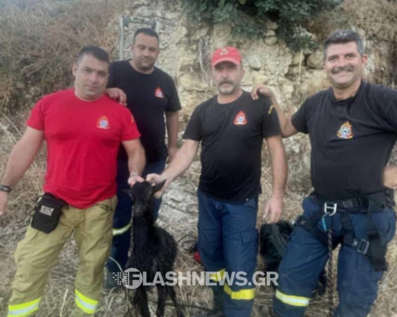 Χανιά: Κατσικάκι έπεσε σε στέρνα 7 μέτρων – Το έσωσε η Πυροσβεστική