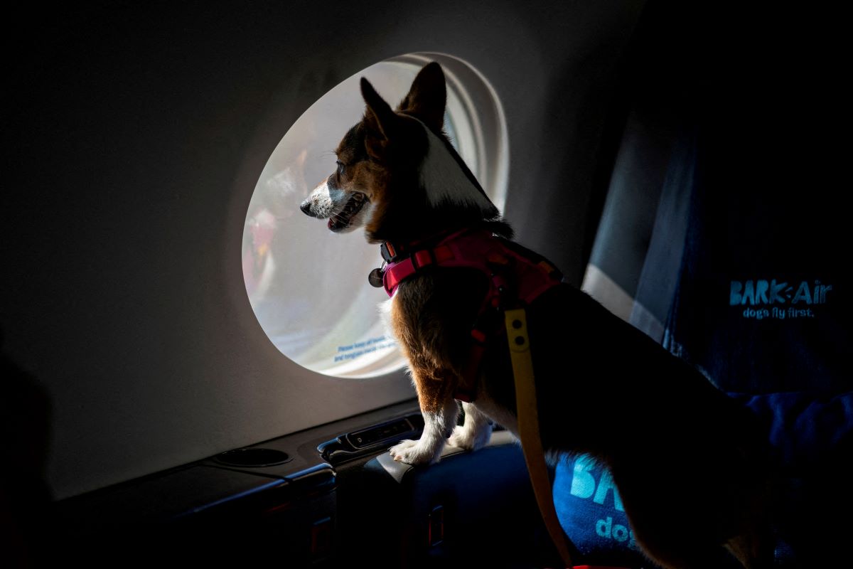 REUTERS