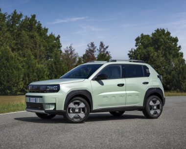 fiat-grandepanda-petrol