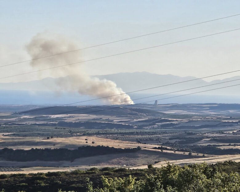Φωτιά στη Χαλκιδική στη Νέα Τρίγλια: Επιχειρούν εναέριες δυνάμεις