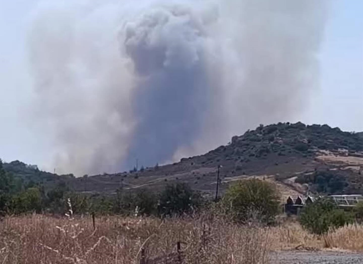 Η φωτιά στην Λέσβο