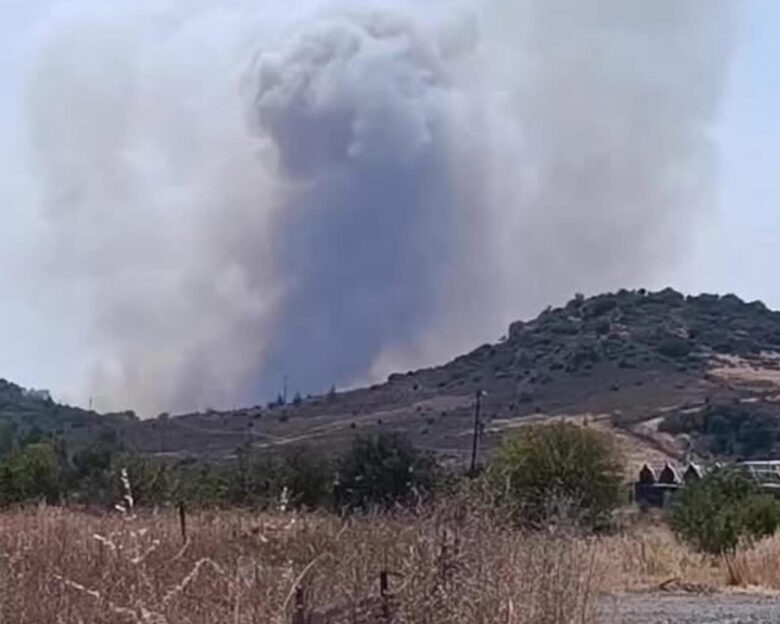 Φωτιά στην Λέσβο με δύο εστίες στη Βρίσα – Επιχειρούν εναέρια μέσα