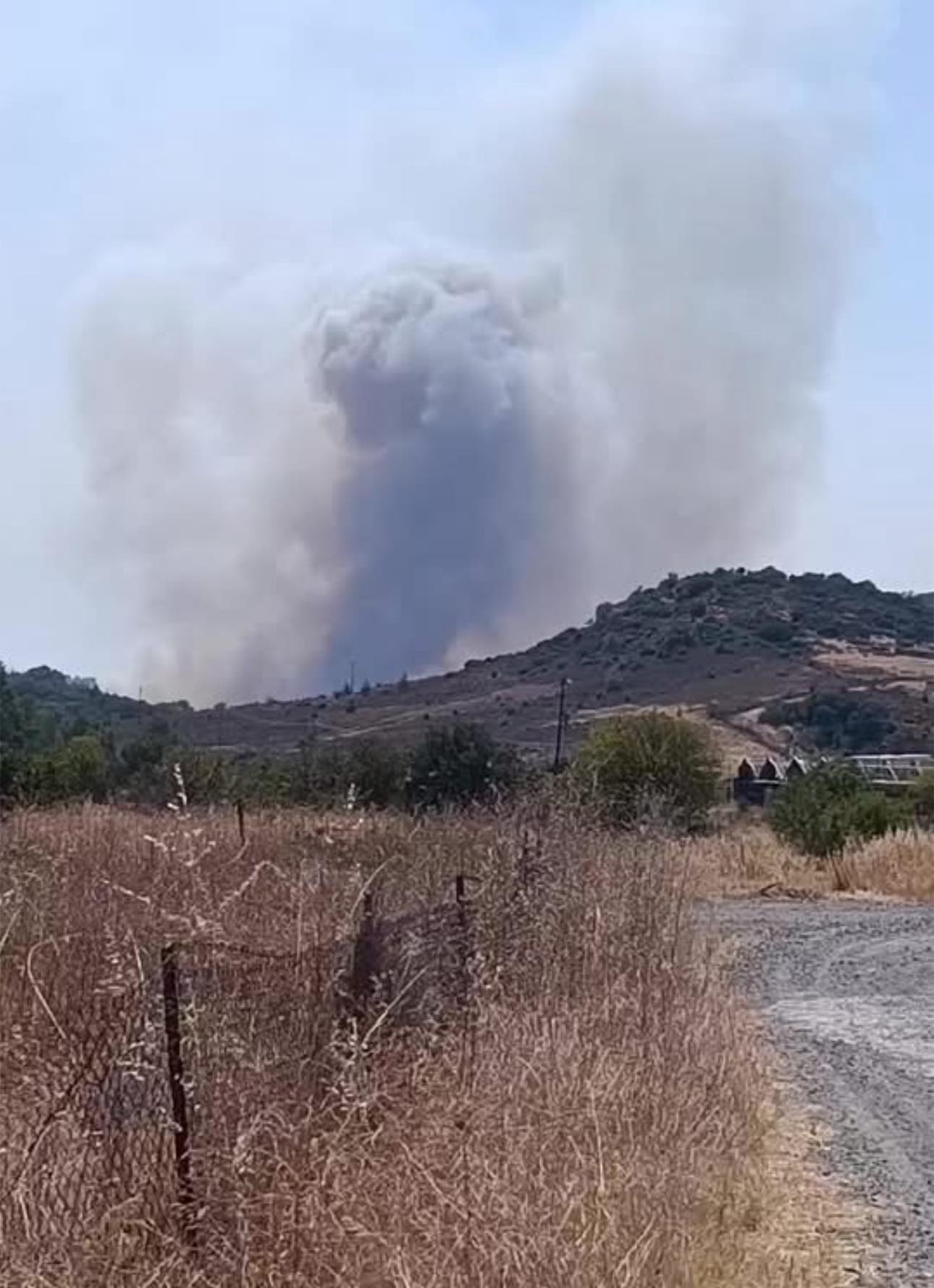 φωτια στην λέσβο