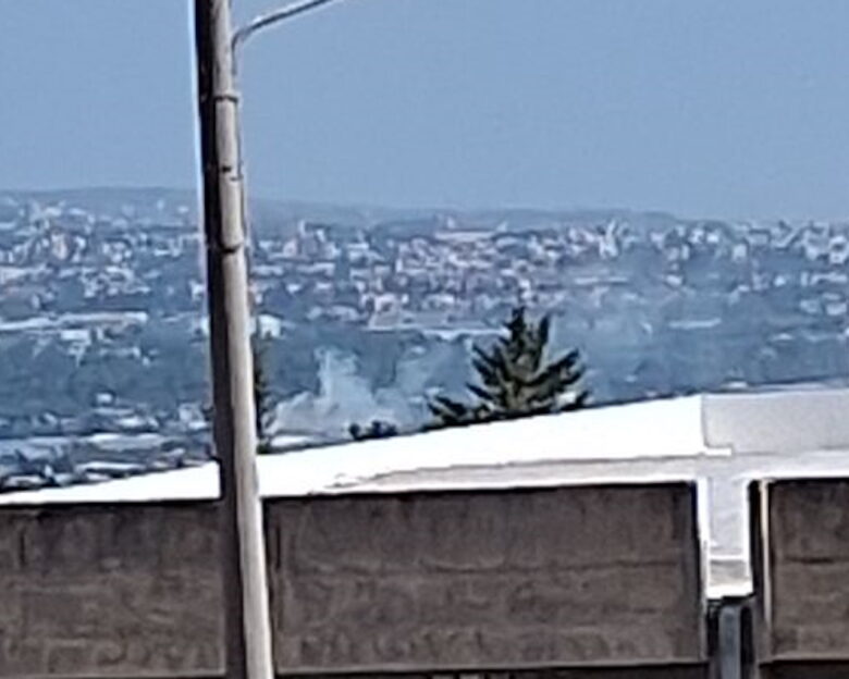 Φωτιά σε φυτώριο στο Μενίδι – Επιχειρούν δυνάμεις της Πυροσβεστικής