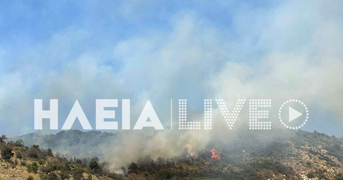 Fire in Ancient Olympia in the Spartouria settlement: attempt aerial means
