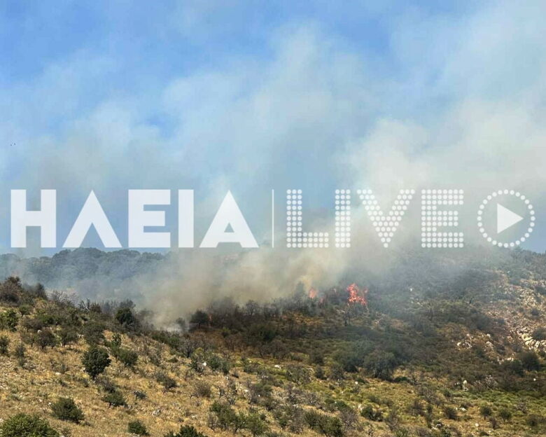 Φωτιά στην αρχαία Ολυμπία στον οικισμό Σπαρτούρια: Επιχειρούν εναέρια μέσα