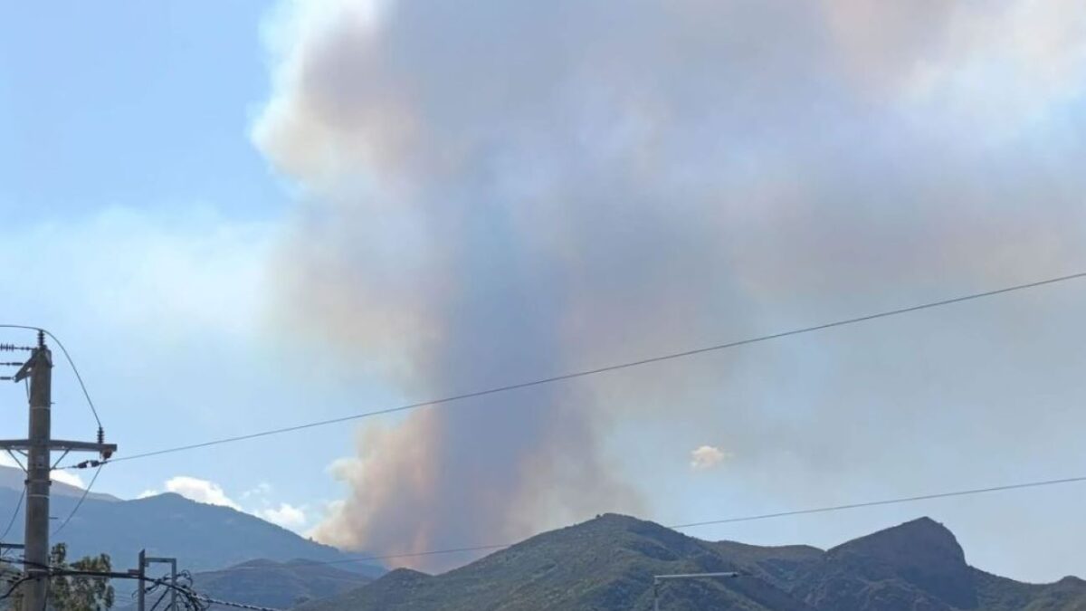 Φωτιά στο όρος Παναχαϊκό