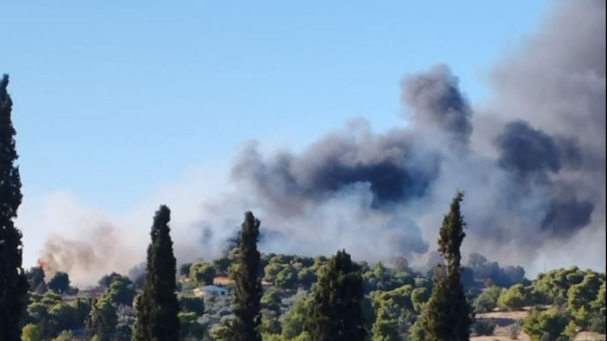 Φωτιά στο Κουνούπι Αργολίδας
