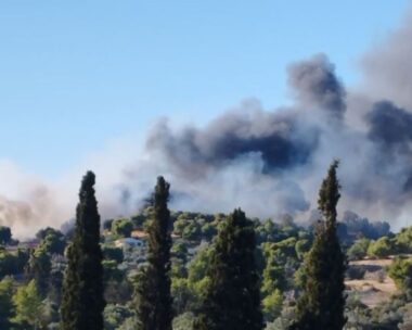 Φωτιά στο Κουνούπι Αργολίδας