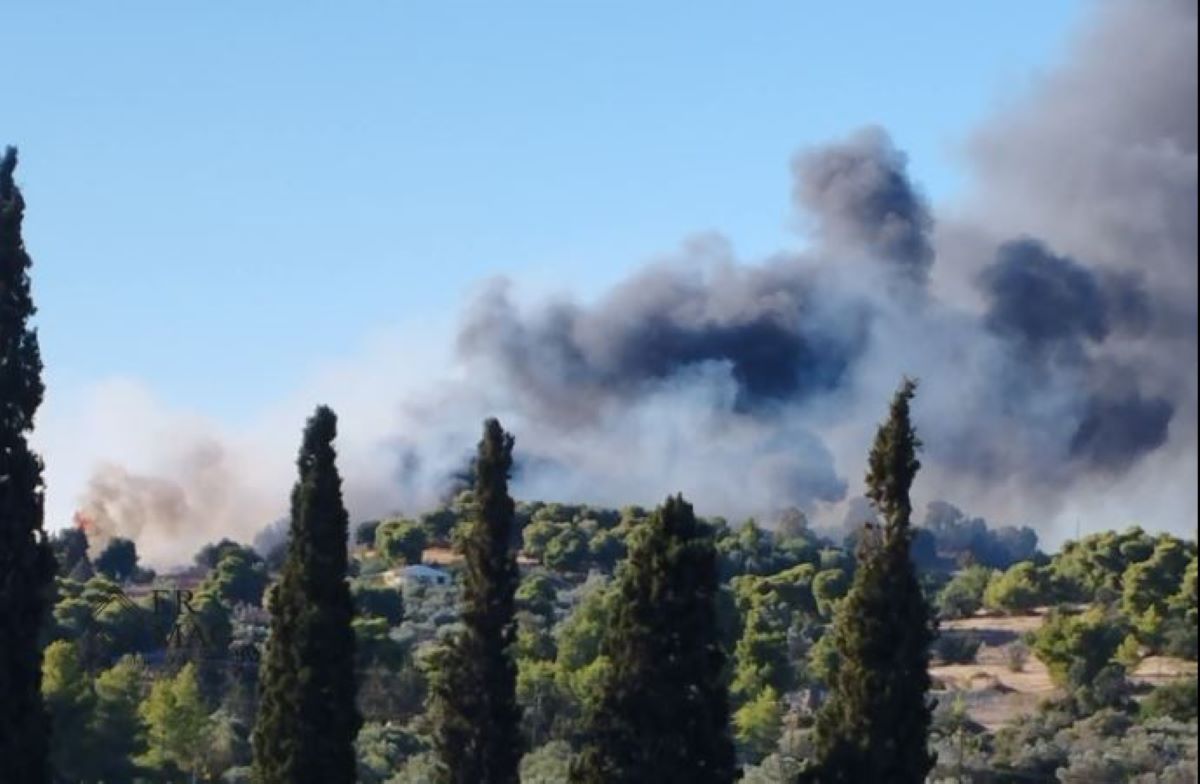 Φωτιά στο Κουνούπι Αργολίδας