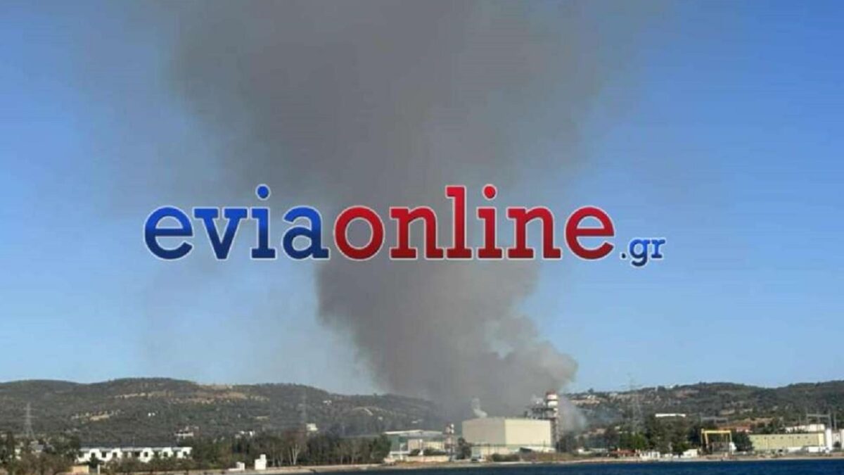 Φωτιά στην Εύβοια