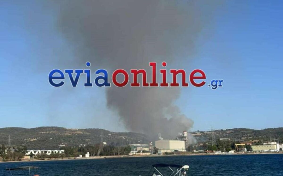 Φωτιά στην Εύβοια