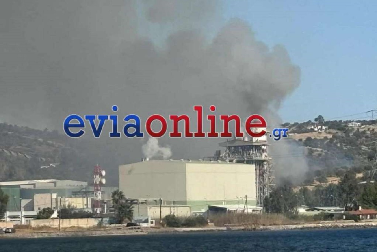 Φωτιά στην Εύβοια