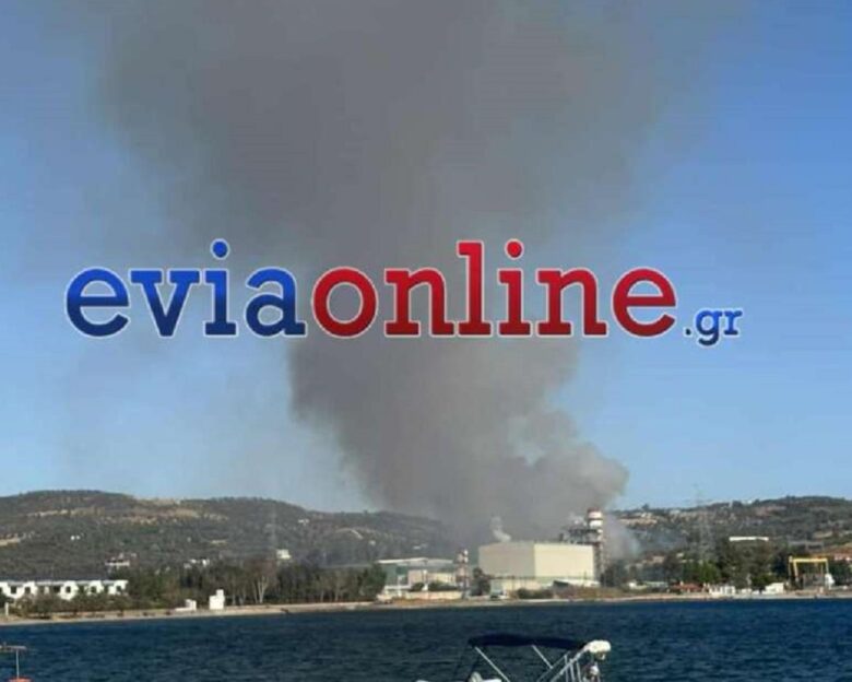 Φωτιά στην Εύβοια στην περιοχή Μηλάκι κοντά σε εργοστάσιο