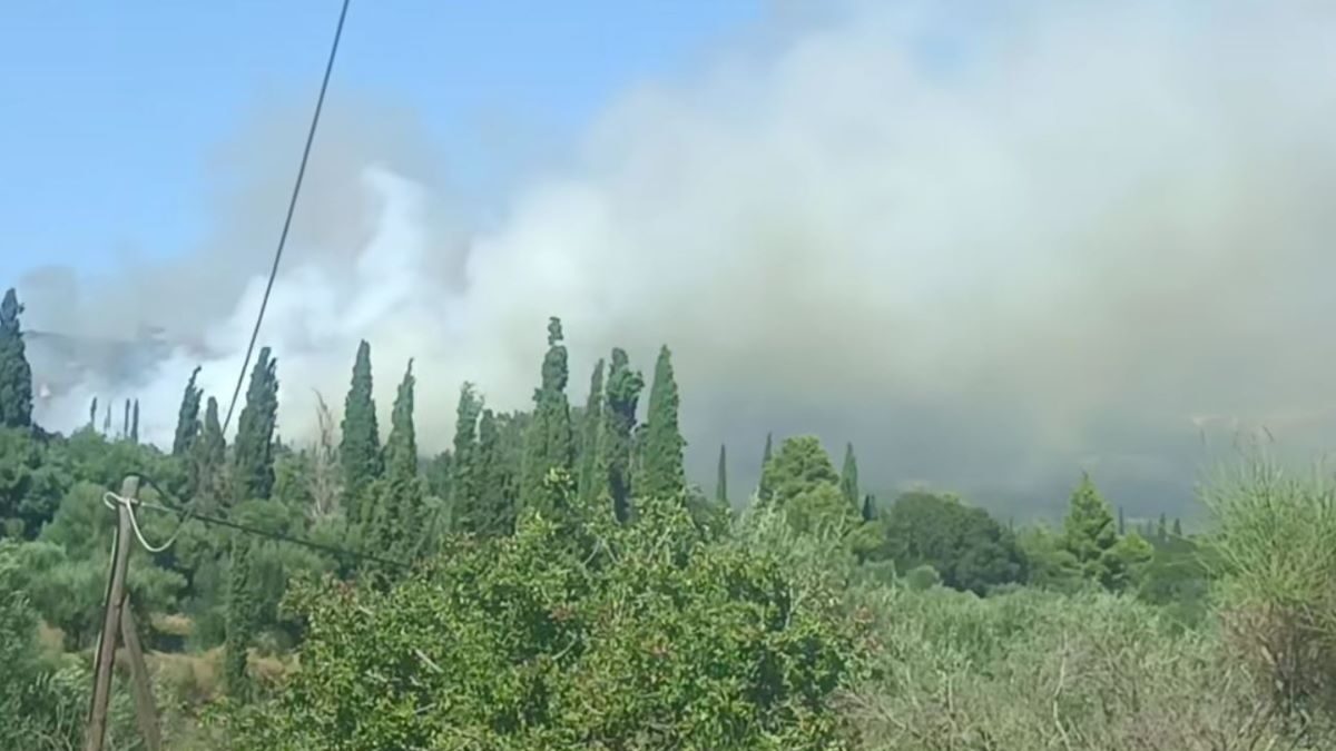 Φωτιά στα Μεταξάτα Κεφαλονιάς