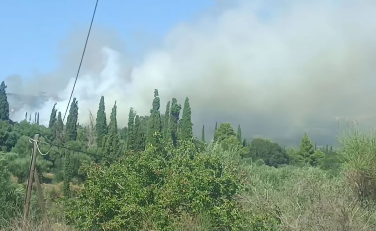 Φωτιά στα Μεταξάτα Κεφαλονιάς