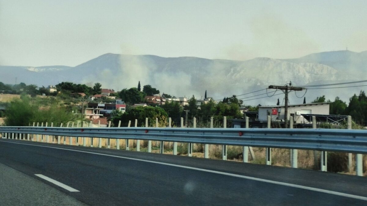 Φωτιά στα Οινόφυτα