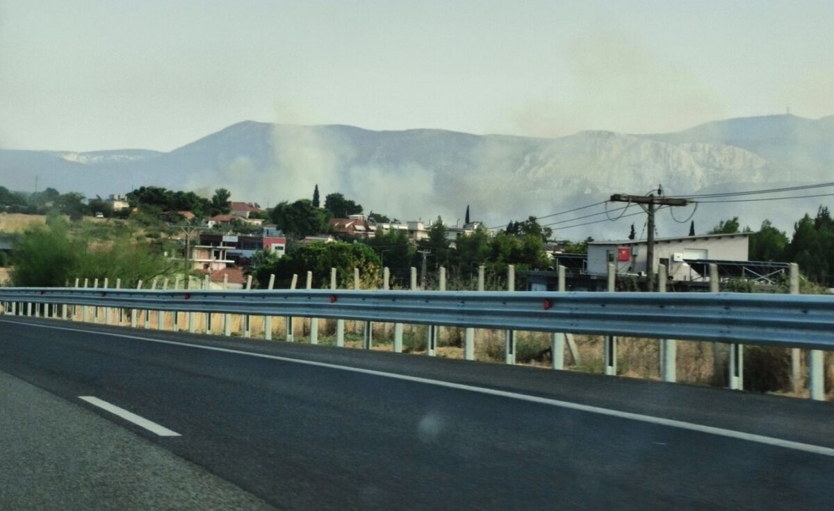 Φωτιά στα Οινόφυτα