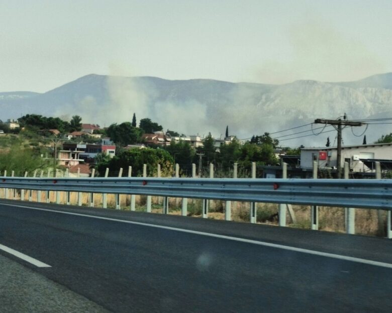 Φωτιά στα Οινόφυτα – Πυροσβεστικές δυνάμεις στο σημείο