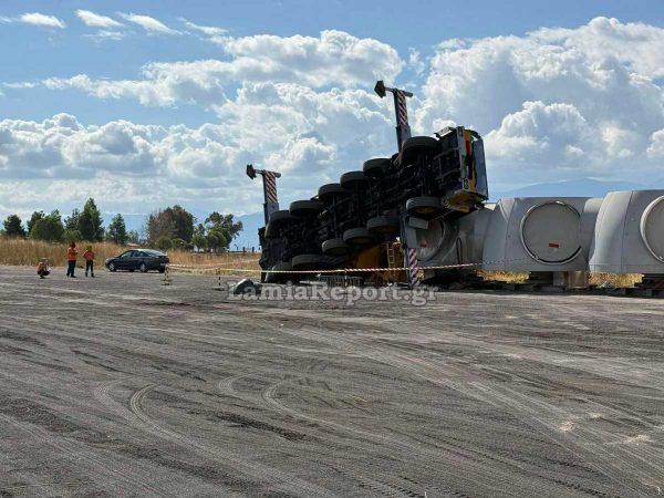 Crane tumped to Stylida