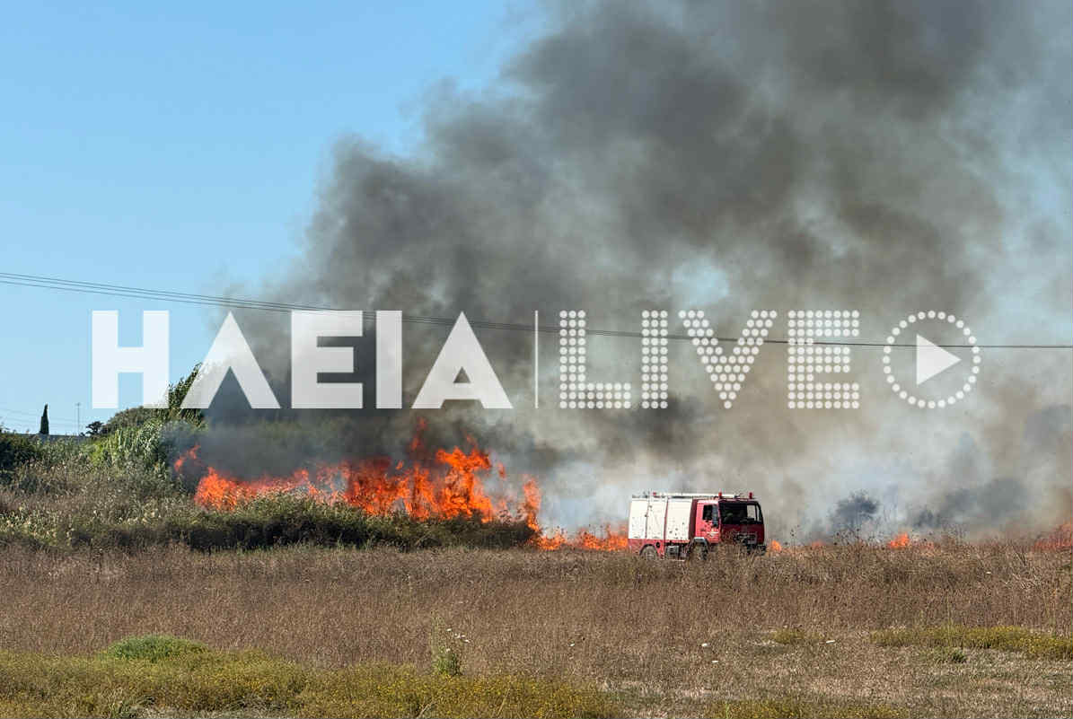 Φωτιά στην Ηλεία