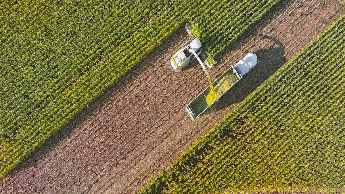 Farm machines, combine and semi-truck harvesting corn, entire plant is used, aerial view