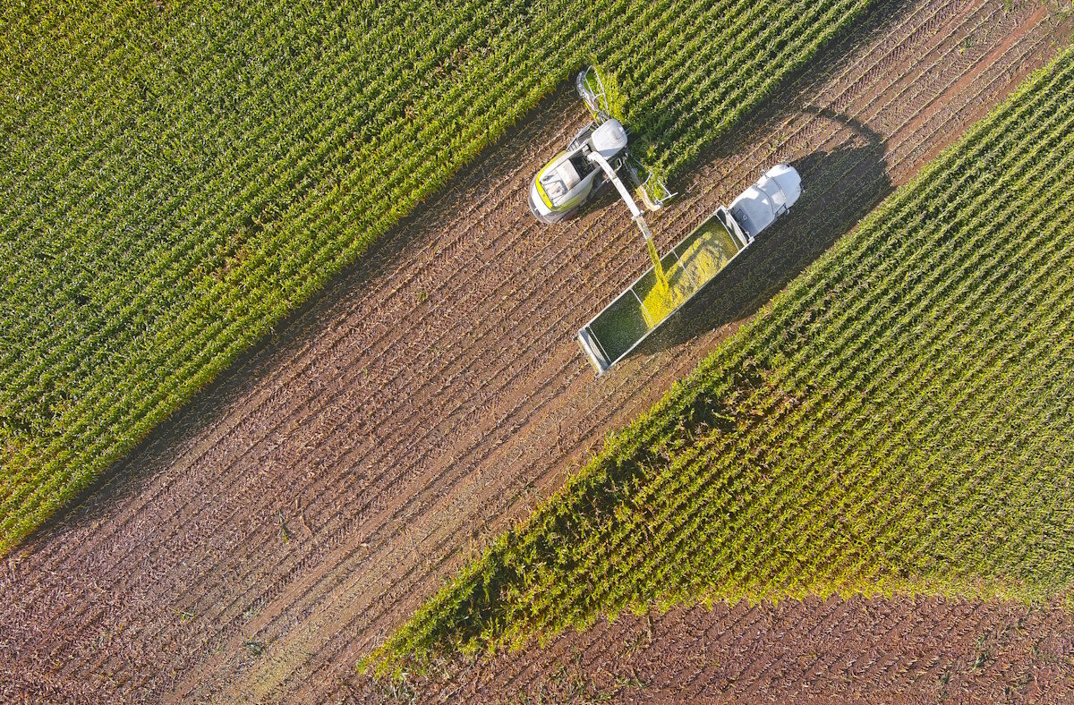 Farm machines, combine and semi-truck harvesting corn, entire plant is used, aerial view