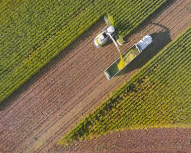 Farm machines, combine and semi-truck harvesting corn, entire plant is used, aerial view