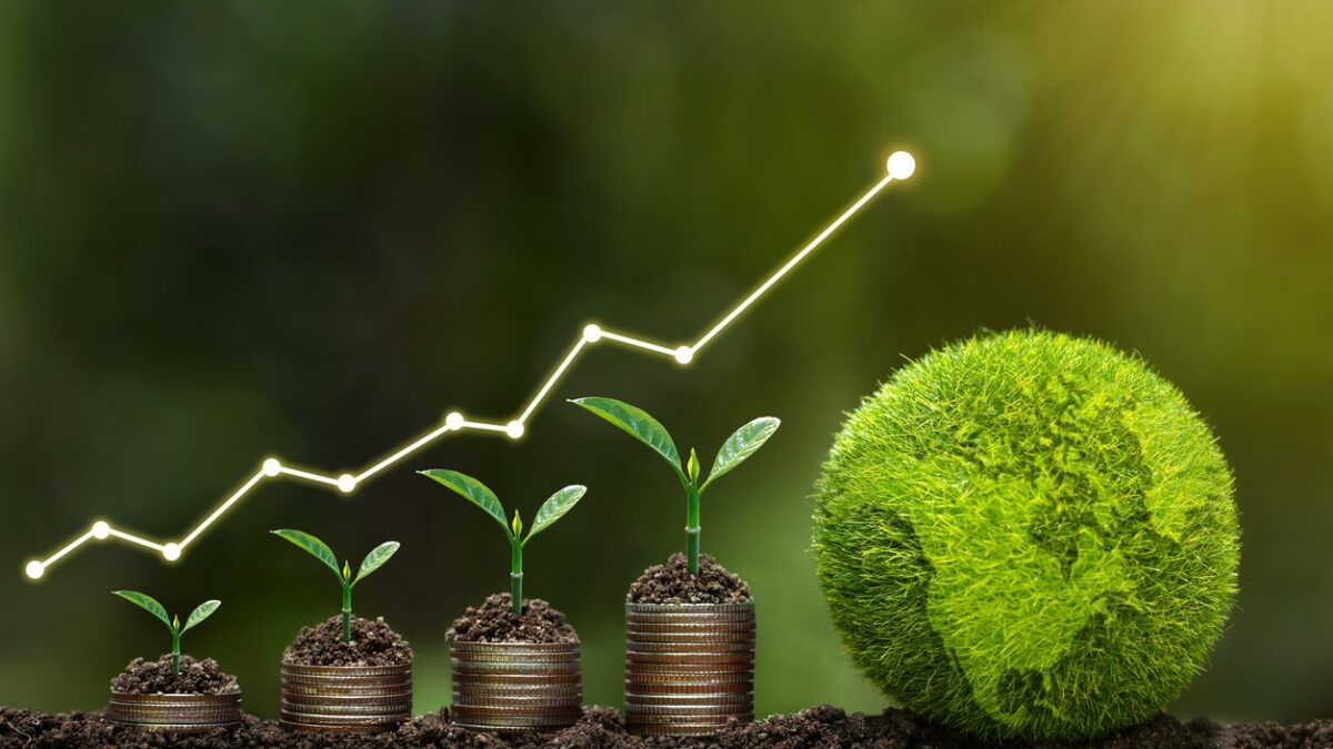 Light bulb is located on soil. plants grow on stacked coins Renewable energy generation is essential for the future. Renewable energy-based green business can limit climate change and global warming.