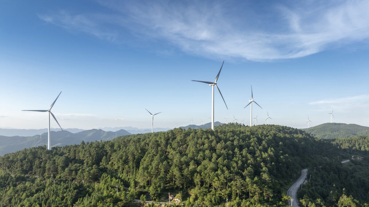 Aerial view of a wind farm