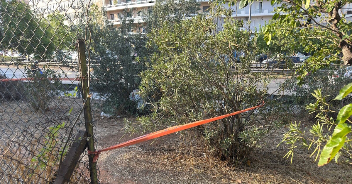 At a pharmacy in Piraeus the kidnapping of the baby found in a supermarket trolley on the Acropolis