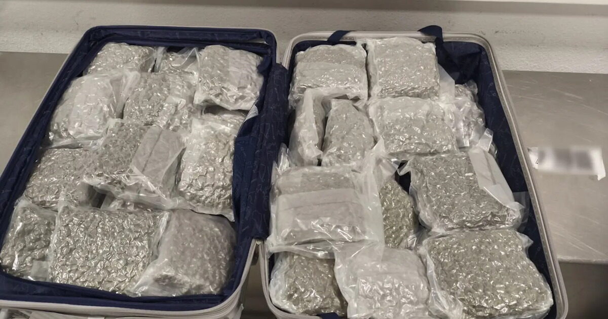 “Eleftherios Venizelos”: A 25 -year -old man arrested at the airport with 18kg of hemp inside the suitcase