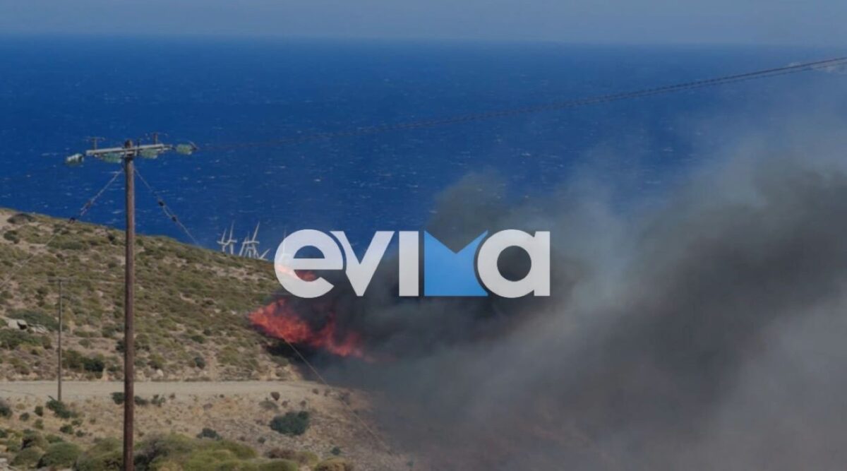 Φωτιά στην Κάρυστο