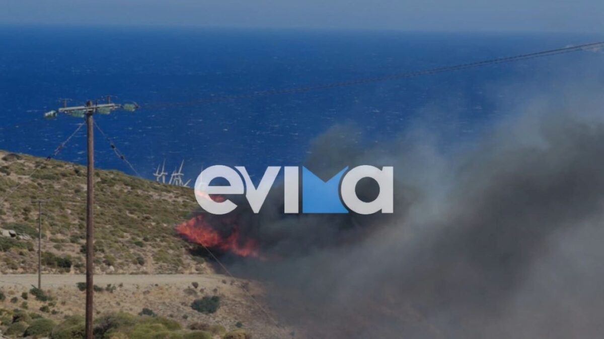 Φωτιά στην Κάρυστο