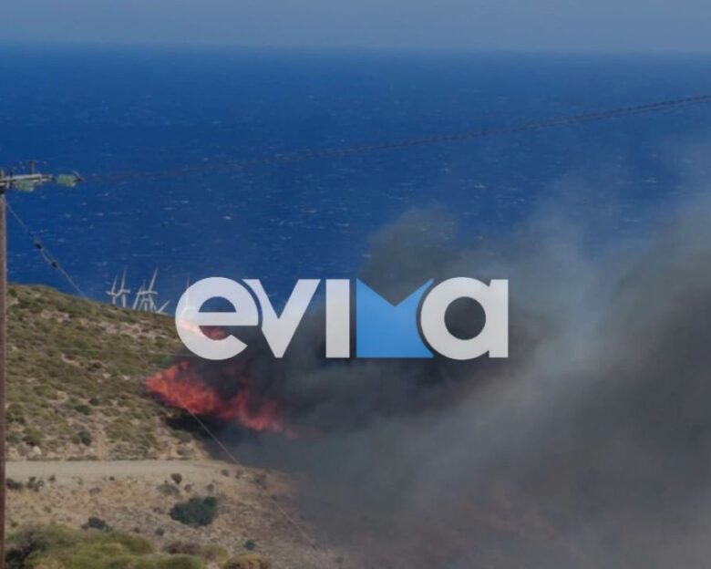 Φωτιά στην Κάρυστο, στην περιοχή Αντιάς – Σηκώθηκαν 6 εναέρια μέσα