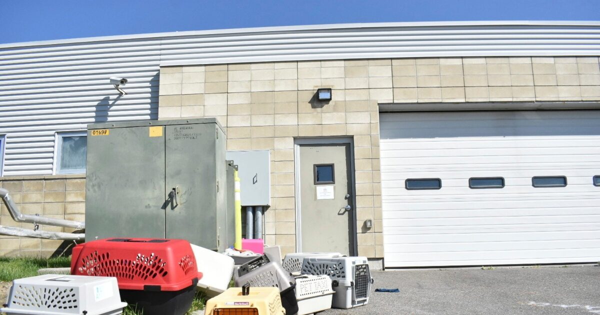 FBI burned confiscated drugs in an animal shelter in the US – in hospital 14 employees