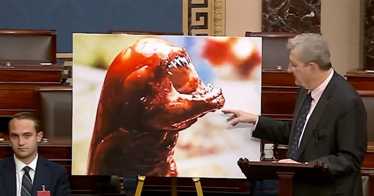 ‘You will become Alien’: Louisiana Senator warned Americans not to eat frozen shrimp