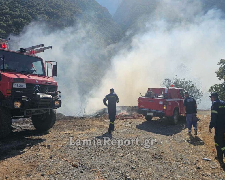 Φωτιά στη Φθιώτιδα στην περιοχή Κομποτάδες: Σηκώθηκαν εναέρια μέσα