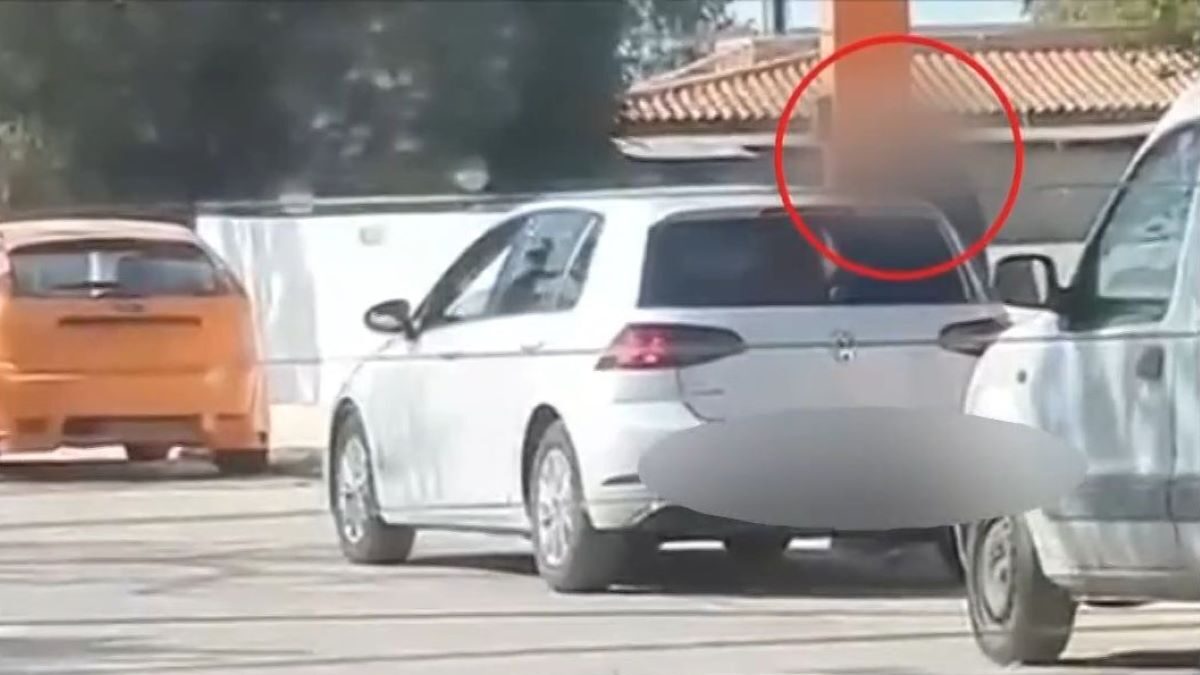 Καρέ από το βίντεο από τη δράση της κρητικής μαφίας